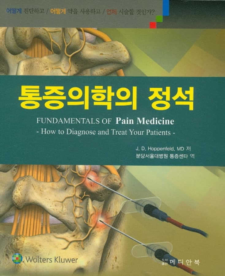통증의학의 정석 표지
