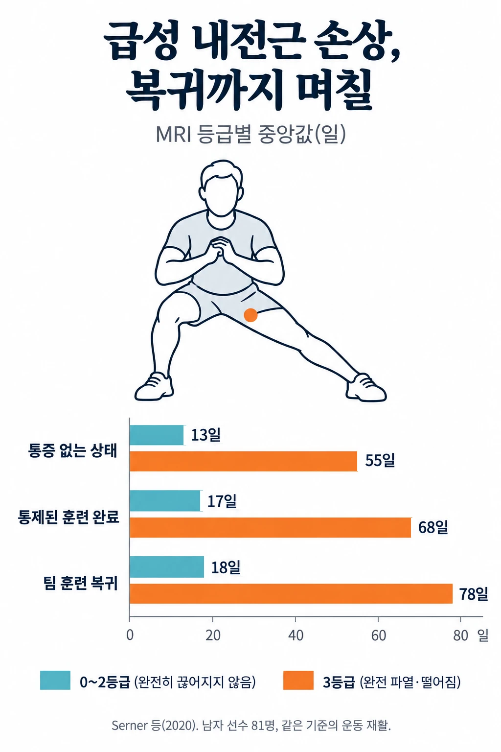 급성 내전근 손상 뒤 회복 단계별 기간을 MRI 등급에 따라 비교한 막대그래프. 0~2등급은 통증 없는 상태까지 13일, 통제된 훈련 완료까지 17일, 팀 훈련 복귀까지 18일. 완전 파열·떨어짐인 3등급은 각각 55일, 68일, 78일. 모두 중앙값.