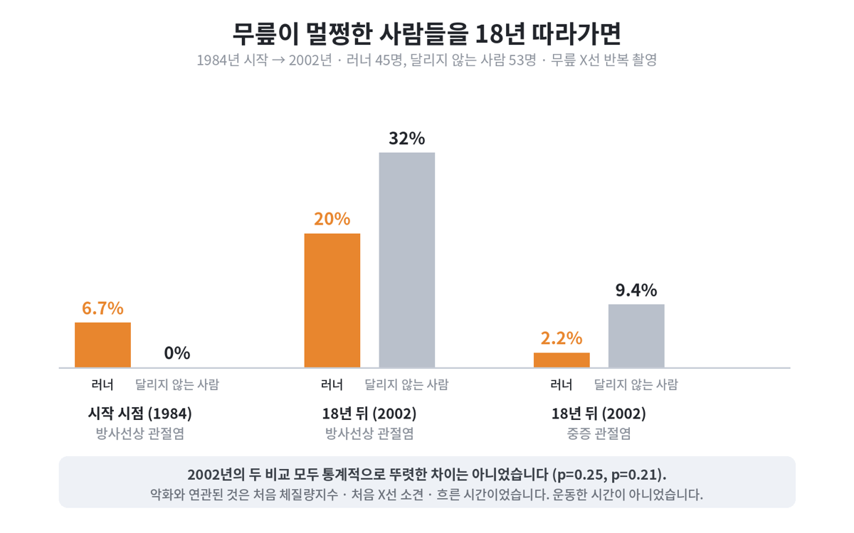 1984년과 2002년의 관절염 비율 막대 그림. 시작 시점 러너 6.7%·대조군 0%, 18년 뒤 러너 20%·대조군 32%, 중증 관절염은 러너 2.2%·대조군 9.4%