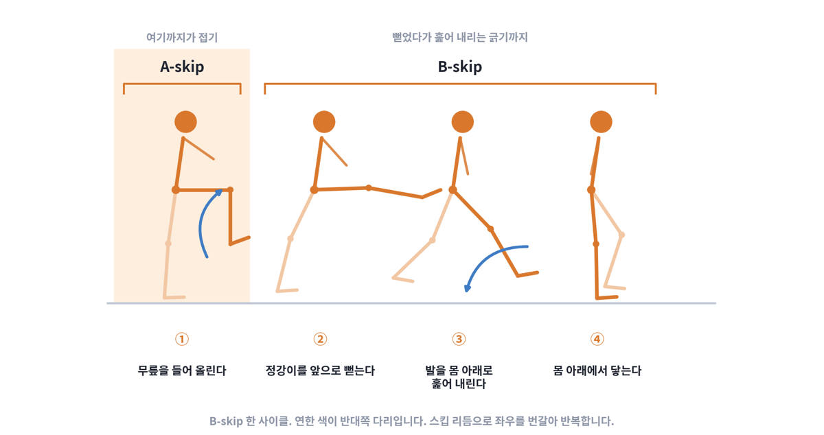 B-skip 한 사이클을 네 컷으로 나눈 도해. 무릎을 들어 올리는 A-skip 구간에 이어 정강이를 앞으로 뻗고, 발을 몸 아래로 훑어 내려 착지하는 순서