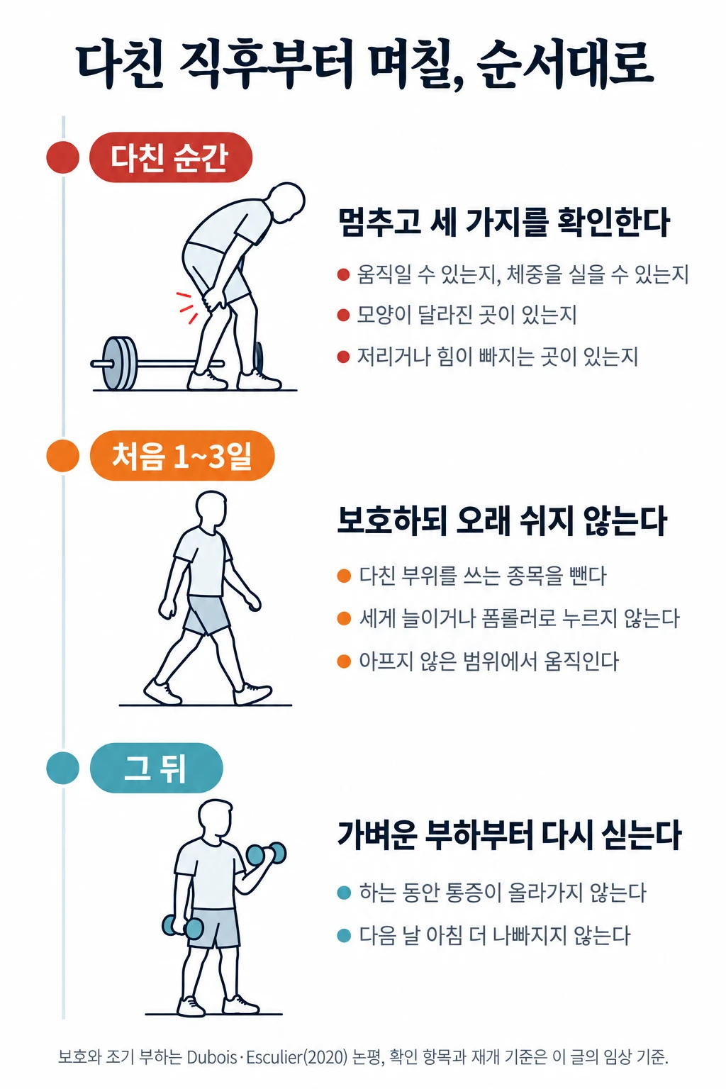 다친 직후부터의 대응을 세로 시간표로 나눈 그림. 다친 순간에는 멈추고 움직임·모양·저림을 확인하고, 처음 1~3일은 보호하되 오래 쉬지 않으며, 그 뒤에는 통증이 올라가지 않고 다음 날 아침 나빠지지 않는 범위에서 가벼운 부하부터 다시 싣는다