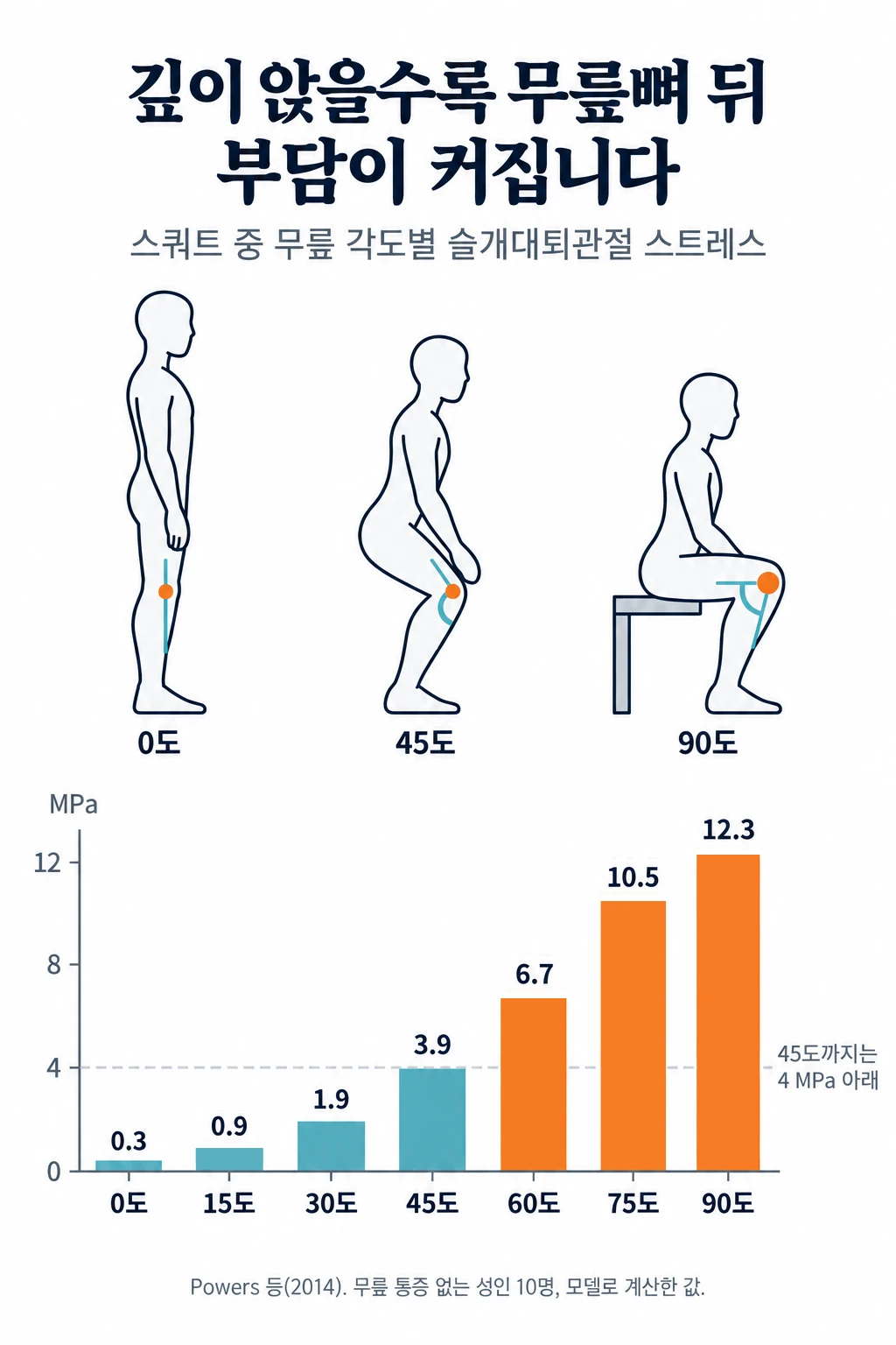 옆에서 본 스쿼트 자세 세 개(선 자세, 무릎 45도, 무릎 90도)와 무릎 각도별 슬개대퇴관절 스트레스 막대그래프. 무릎 0도 0.3 MPa, 15도 0.9, 30도 1.9, 45도 3.9, 60도 6.7, 75도 10.5, 90도 12.3 MPa로 깊이 앉을수록 커졌고, 45도까지는 4 MPa 아래였습니다.