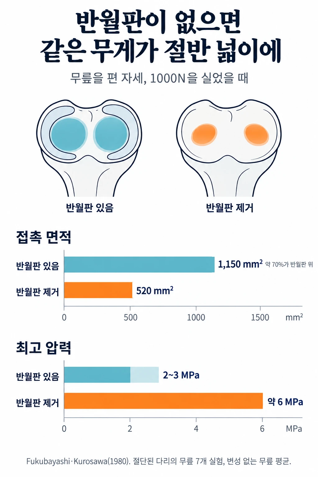 정강뼈 윗면을 위에서 본 단순한 그림 두 개와 막대그래프. 무릎을 편 자세로 1000N을 실었을 때 허벅지뼈와 정강뼈가 맞닿는 면적은 반월판이 있을 때 1,150 mm², 반월판을 떼어 낸 뒤 520 mm²였고, 최고 압력은 2~3 MPa에서 약 6 MPa로 올랐습니다. 반월판이 있을 때 접촉 면적의 약 70%가 반월판 위였습니다.