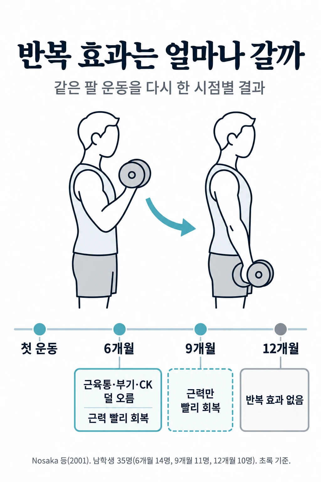 팔꿈치 굽힘근 신장성 운동을 6개월, 9개월, 12개월 뒤에 다시 한 세 무리를 시간 축에 놓은 그림. 6개월 뒤에는 근육통과 부기, CK가 덜 올랐고 근력도 빨리 회복됐습니다. 9개월 뒤에는 근력만 빨리 회복됐고, 12개월 뒤에는 반복 효과가 보이지 않았습니다.