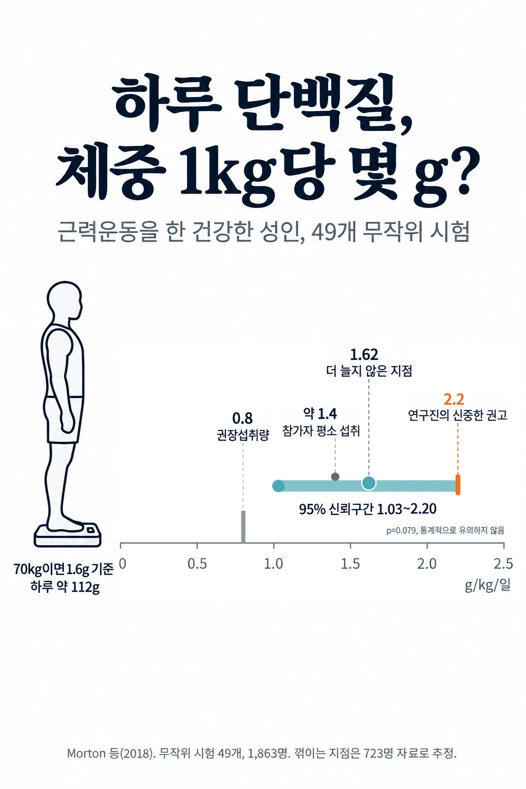 하루 단백질 섭취량(체중 1kg당 g) 눈금 위에 세 값을 표시한 그림. 권장섭취량 0.8g, 연구 참가자들이 평소 먹던 약 1.4g, 제지방량 증가가 더 늘지 않은 지점 1.62g과 그 95% 신뢰구간 1.03~2.20g. 이 꺾이는 지점은 통계적으로 유의하지 않았습니다(p=0.079). 체중 70kg이면 1.6g 기준 하루 약 112g입니다.
