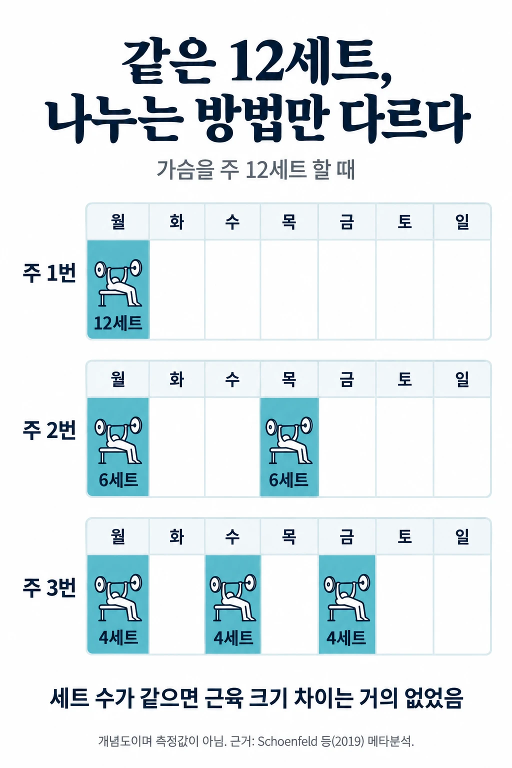 월요일부터 일요일까지 일주일 달력 세 줄. 첫 줄은 월요일에 12세트, 둘째 줄은 월요일과 목요일에 6세트씩, 셋째 줄은 월·수·금요일에 4세트씩. 세 방식 모두 주 12세트이며, 세트 수가 같으면 근육 크기의 차이는 거의 없었다는 설명.