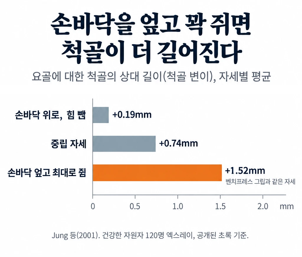 손목 엑스레이 자세별 척골 변이 평균값 막대그래프. 손바닥을 위로 하고 힘을 뺀 자세 +0.19mm, 중립 자세 +0.74mm, 손바닥을 아래로 엎고 최대로 쥔 자세 +1.52mm. 벤치프레스 그립처럼 손바닥을 엎고 꽉 쥘 때 척골이 요골에 비해 가장 길게 나왔습니다.